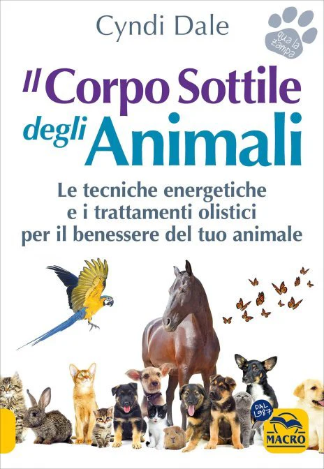 Immagine prodotto 1